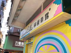 -柠檬车露(卖草地店)