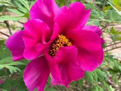 -国家植物园南园