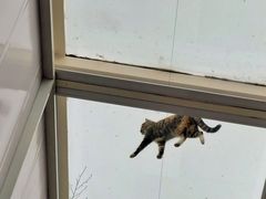 景观位-UNI UNI(环亚凯瑟琳店)