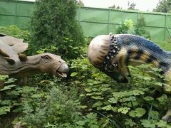 -西安秦岭野生动物园