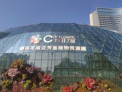 -花之城