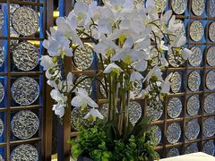 -华夏良子·足道·SPA·艾灸(小麦岛银海店)