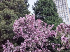 -海棠花溪(元大都城垣遗址公园)