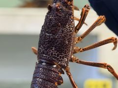 -海世船说·海鲜餐厅(南昌店)