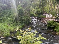 -峡谷浮石林景区