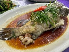 清蒸珍珠龙-广胜通达海鲜食府(黄沙店)