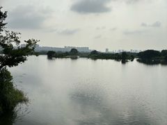 -三垟湿地