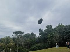 -中国科学院西双版纳热带植物园