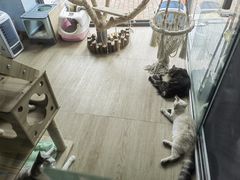 -牛喵喵铜锅牛肉馆