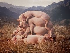 -清华大学艺术博物馆