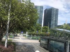 -钱江新城灯光秀