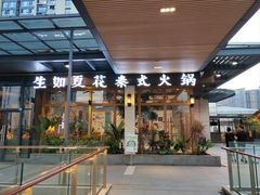 -生如夏花泰式火锅(鹭洲里店)