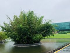 -金陵图书馆