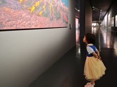 -罗红摄影艺术馆