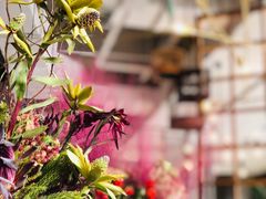 -The Rug Cafe(王府中环店)