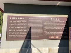 -磬锤峰森林公园