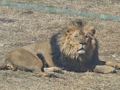 -鄂尔多斯野生动物园