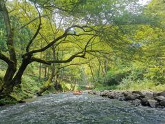 -大围山峡谷漂流