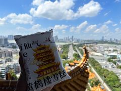 -黄鹤楼公园(黄鹤楼)