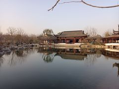 -上海滨江森林公园