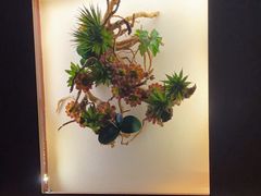 -大桶大足浴(武夷店)