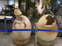 -湖南省地质博物馆