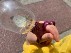 -苏州河梦清园环保主题公园