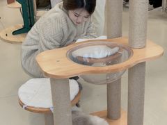 -共舞时光猫咖·狗咖(新街口店)