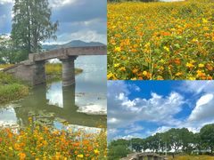 -东钱湖旅游度假区