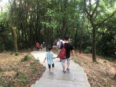 -火炉山森林公园
