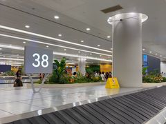 -上海浦东国际机场-T2航站楼