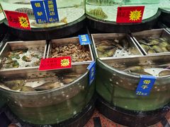 -东豪园林海鲜酒家(南港路辅路店)