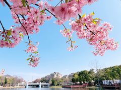 -新江湾城公园
