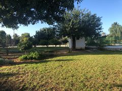 -巴尔多国家博物馆