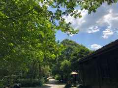 -法云古村