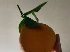 -广百家超市(大东海店)