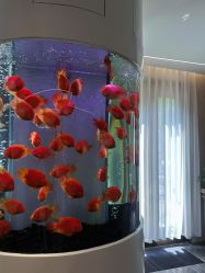 -新蝶变皮肤管理中心