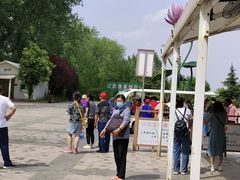 -滕州微山湖红荷湿地景区