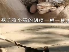 -昆明动物园