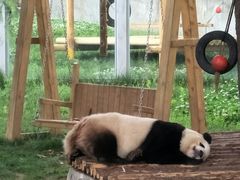 -西安秦岭野生动物园