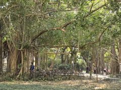 -北海市海滨公园