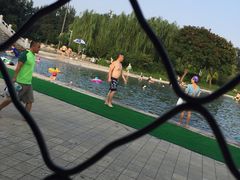 -柳浪游泳场