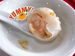 鼎珑招牌鲜虾饺-鼎珑点心仔(燕塘店)