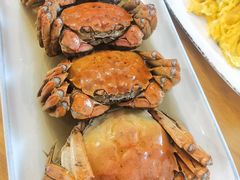 -品鲜村农家菜·阳澄湖大闸蟹(总店)