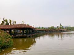 -枫香湖儿童公园