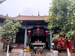 -眼镜粑粑