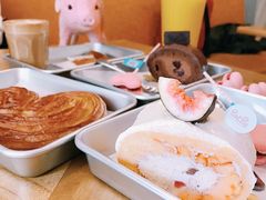 -WHEN PIGS FLY当猪飞