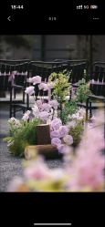 -蘭club婚礼策划