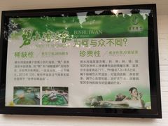 -碧水湾温泉