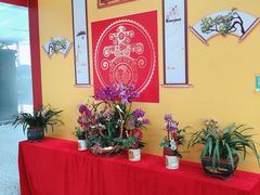 -广州白云国际机场-T2航站楼